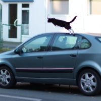 fliegende katze die über autos fliegt